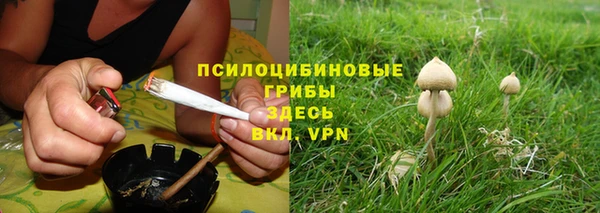 ALPHA-PVP Аркадак